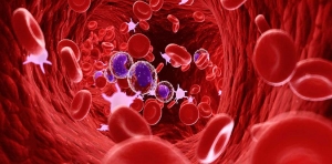 Investigating the Possibilities of a Solution for Blood Disease